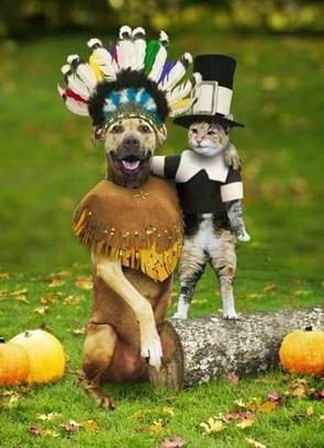 Thankksgiving Invite pic