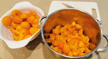Diabetic Apricot Jam